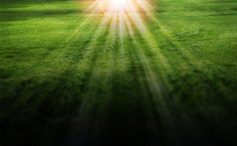 Muse Sunrise Floor